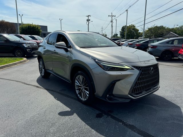 2022 Lexus NX 350 Luxury