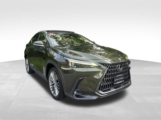2022 Lexus NX 350 Luxury