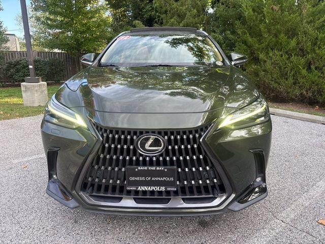 2022 Lexus NX 350 Luxury