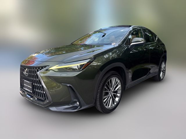 2022 Lexus NX 350 Luxury