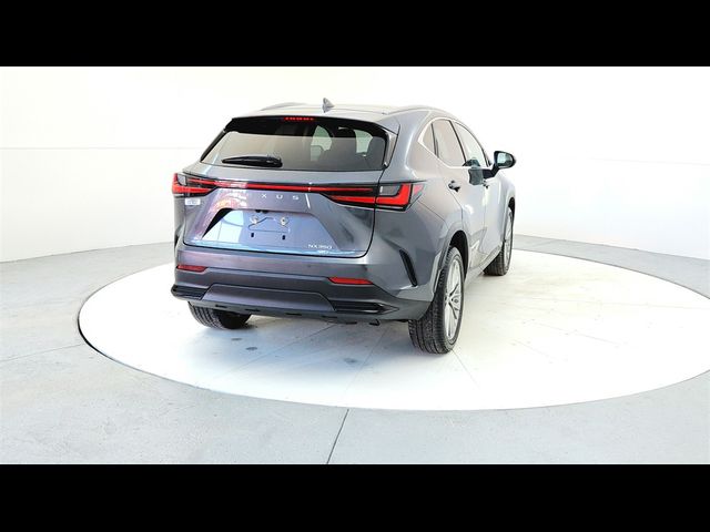 2022 Lexus NX 350 Luxury