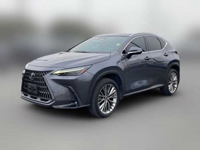 2022 Lexus NX 350 Luxury