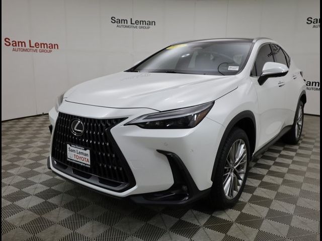 2022 Lexus NX 350 Luxury