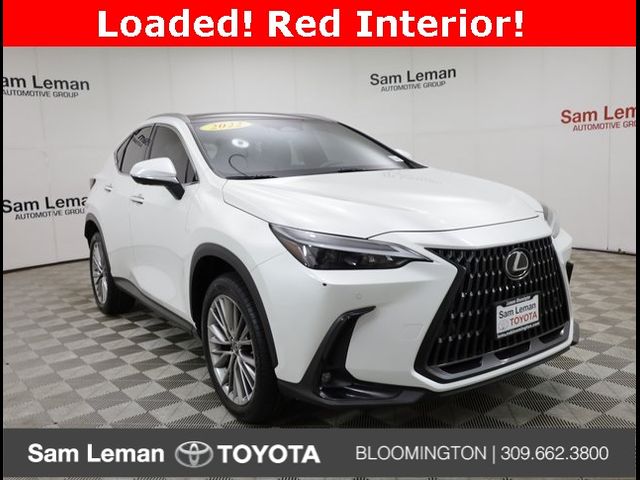 2022 Lexus NX 350 Luxury