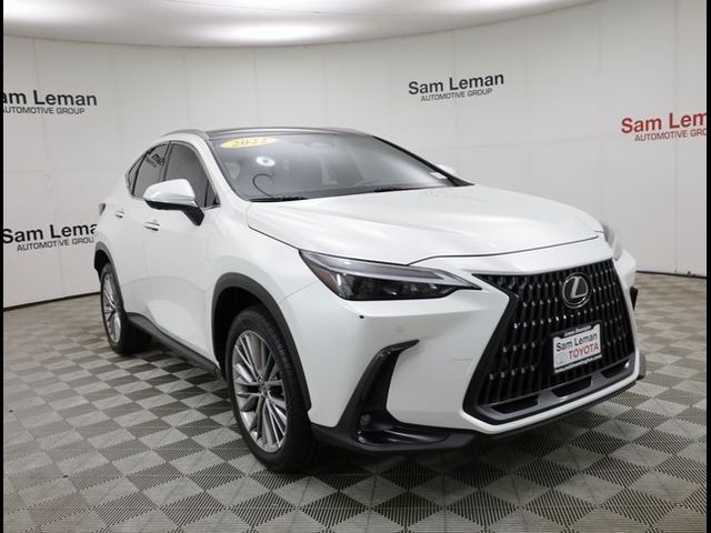 2022 Lexus NX 350 Luxury