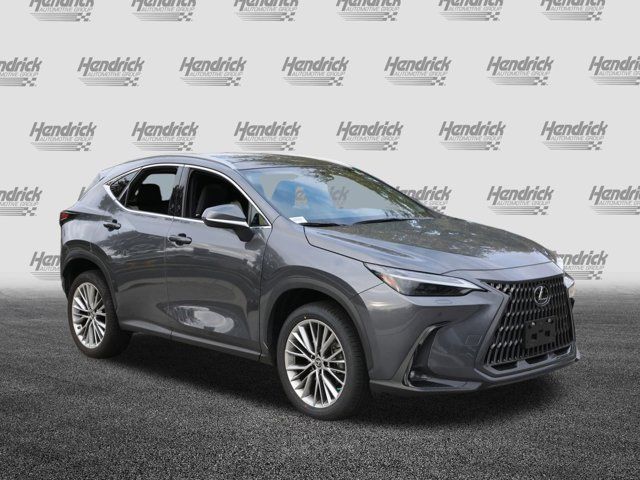 2022 Lexus NX 350 Luxury