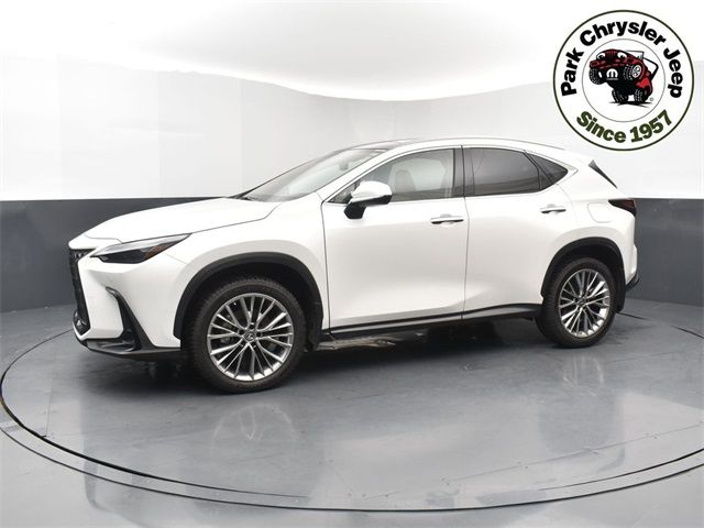 2022 Lexus NX 350 Luxury