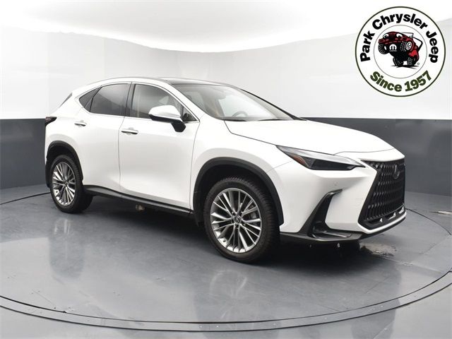 2022 Lexus NX 350 Luxury