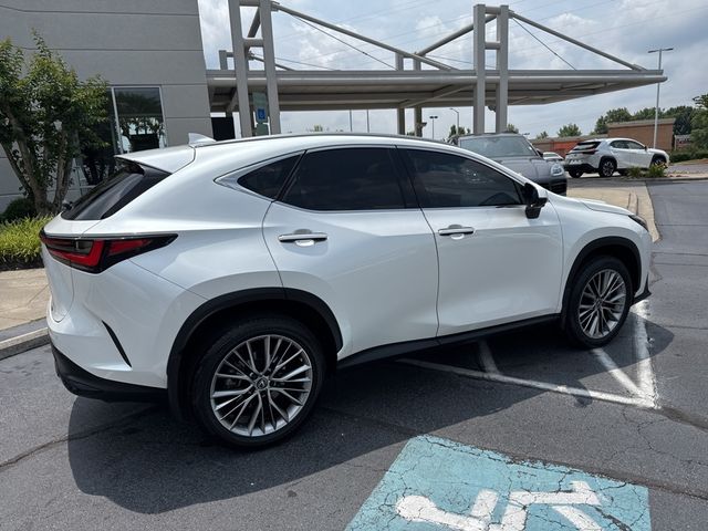 2022 Lexus NX 350 Luxury
