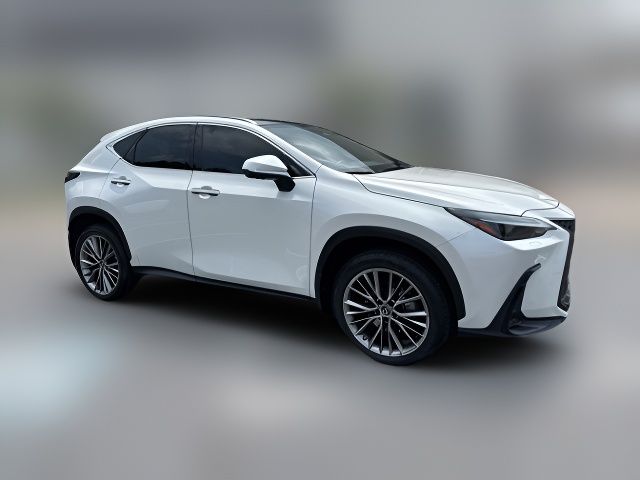 2022 Lexus NX 350 Luxury