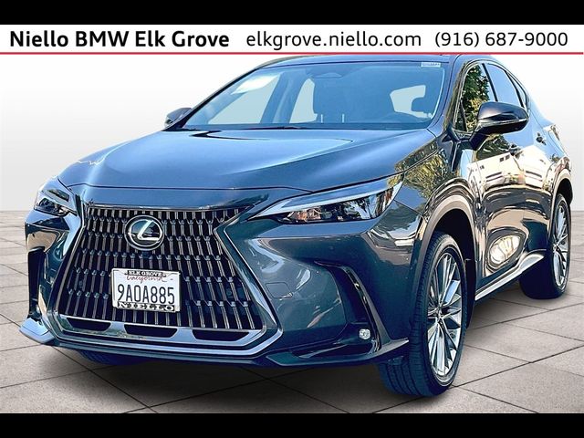 2022 Lexus NX 350 Luxury