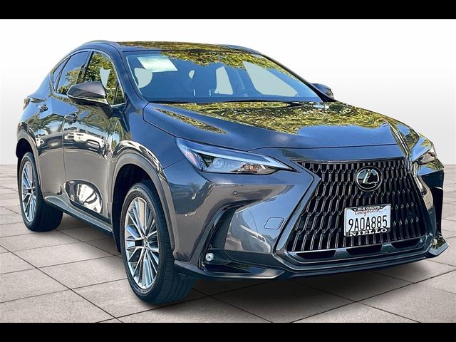 2022 Lexus NX 350 Luxury