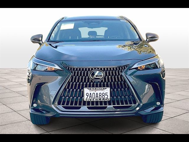 2022 Lexus NX 350 Luxury