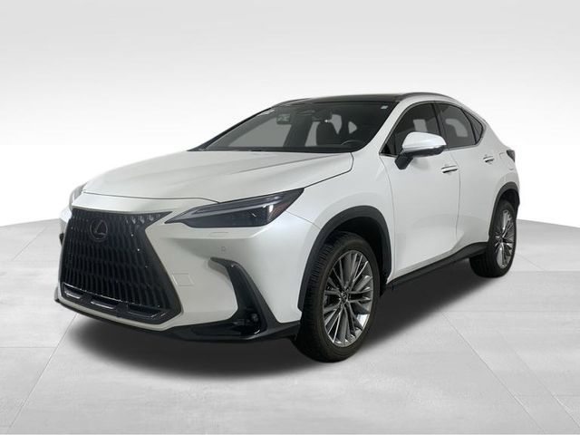 2022 Lexus NX 350 Luxury