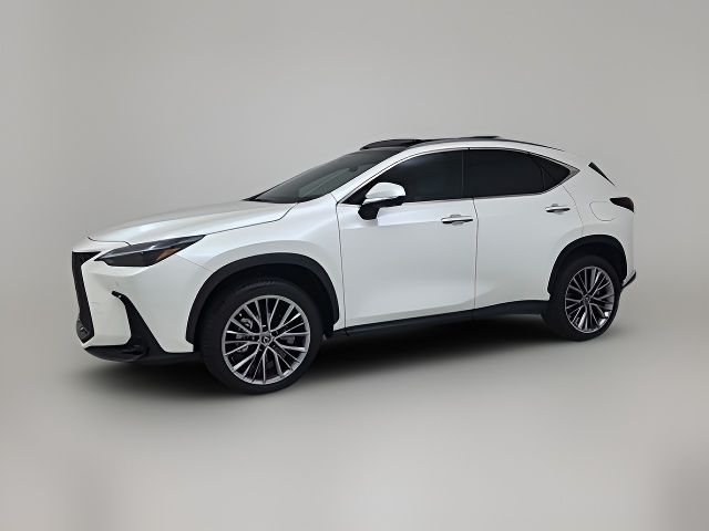 2022 Lexus NX 350 Luxury