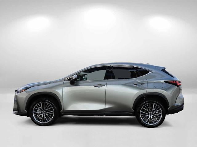 2022 Lexus NX 350 Luxury