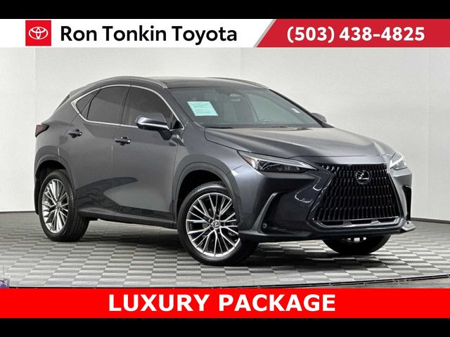 2022 Lexus NX 350 Luxury