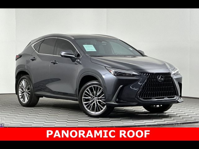 2022 Lexus NX 350 Luxury