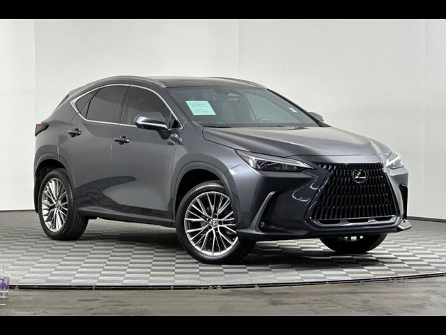 2022 Lexus NX 350 Luxury