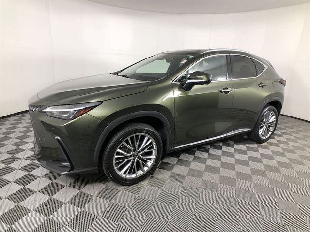 2022 Lexus NX 350 Luxury