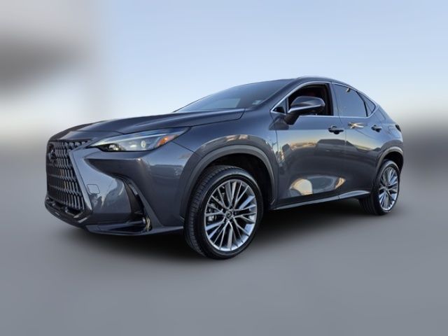 2022 Lexus NX 350 Luxury