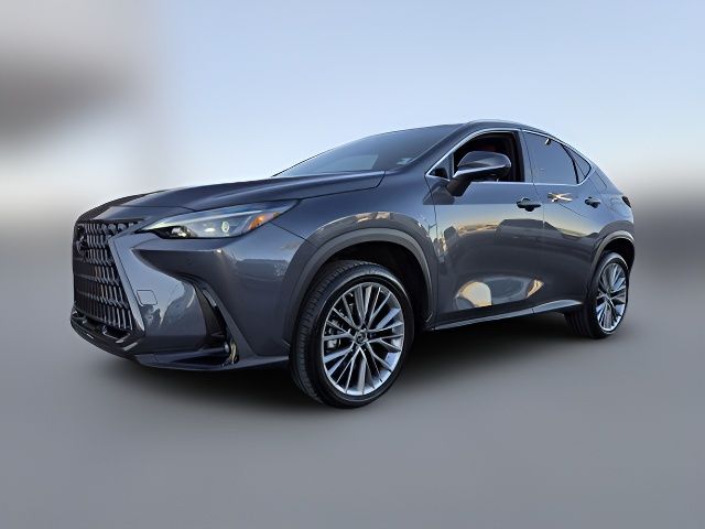 2022 Lexus NX 350 Luxury