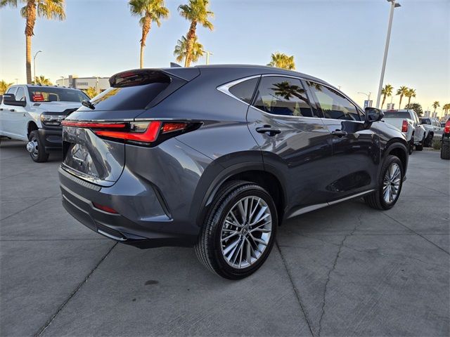 2022 Lexus NX 350 Luxury