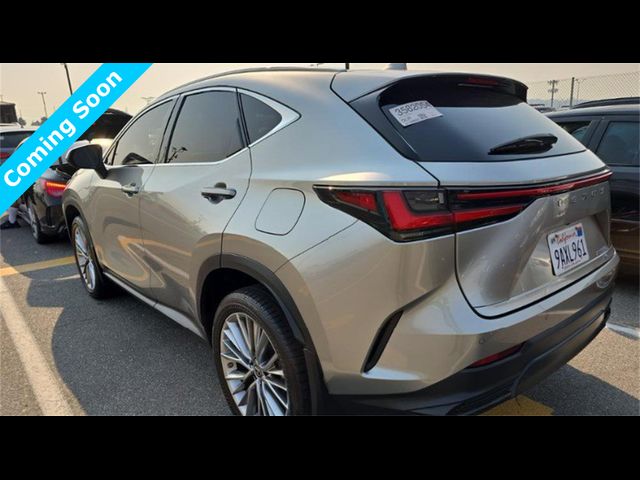 2022 Lexus NX 350 Luxury