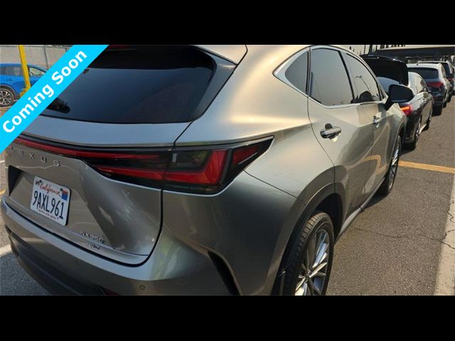 2022 Lexus NX 350 Luxury