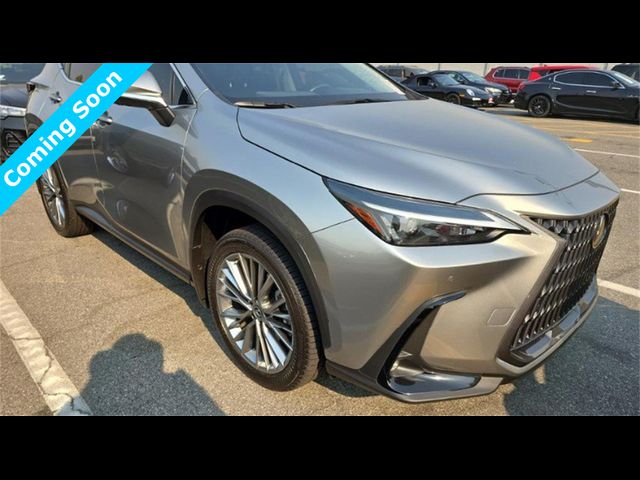 2022 Lexus NX 350 Luxury