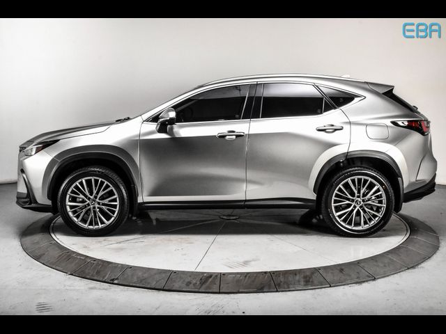 2022 Lexus NX 350 Luxury