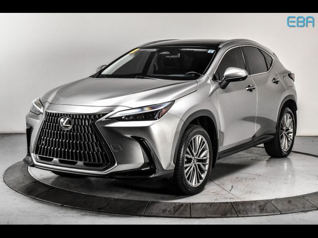 2022 Lexus NX 350 Luxury