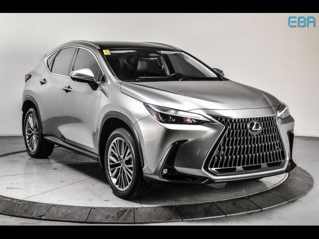 2022 Lexus NX 350 Luxury