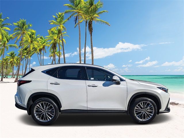 2022 Lexus NX 350 Luxury