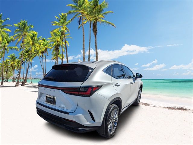 2022 Lexus NX 350 Luxury