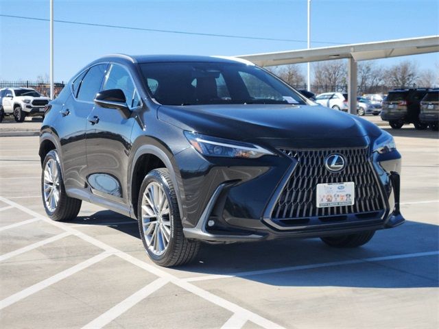 2022 Lexus NX 350 Luxury