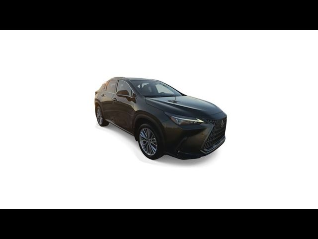 2022 Lexus NX 350 Luxury