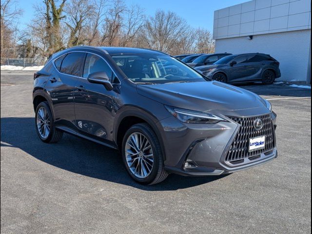 2022 Lexus NX 350 Luxury