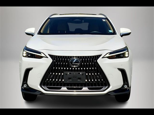 2022 Lexus NX 350 Premium