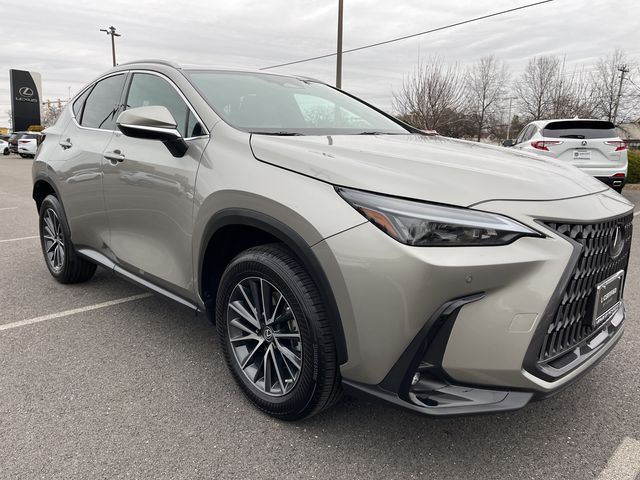 2022 Lexus NX 350 Premium