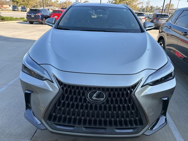 2022 Lexus NX 350 Premium