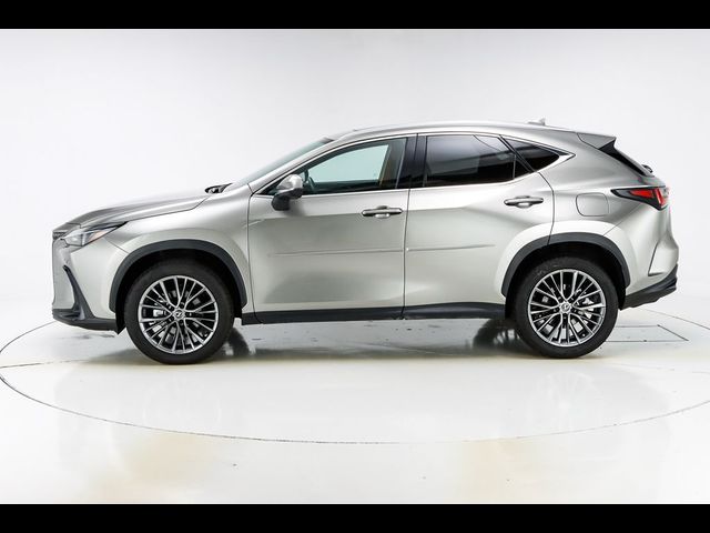 2022 Lexus NX 350 Premium