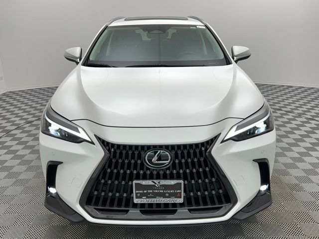 2022 Lexus NX 350 Premium