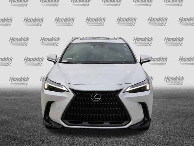 2022 Lexus NX 350 Premium