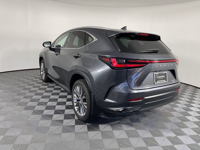 2022 Lexus NX 350 Premium