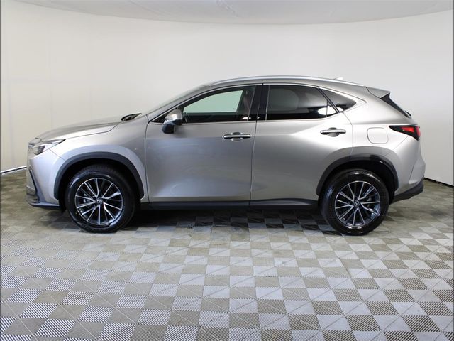 2022 Lexus NX 350 Premium