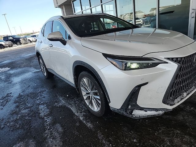 2022 Lexus NX 350 Premium