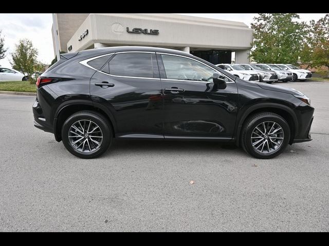 2022 Lexus NX 350 Premium