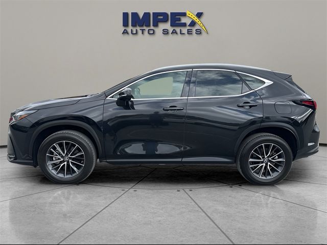 2022 Lexus NX 350 Premium