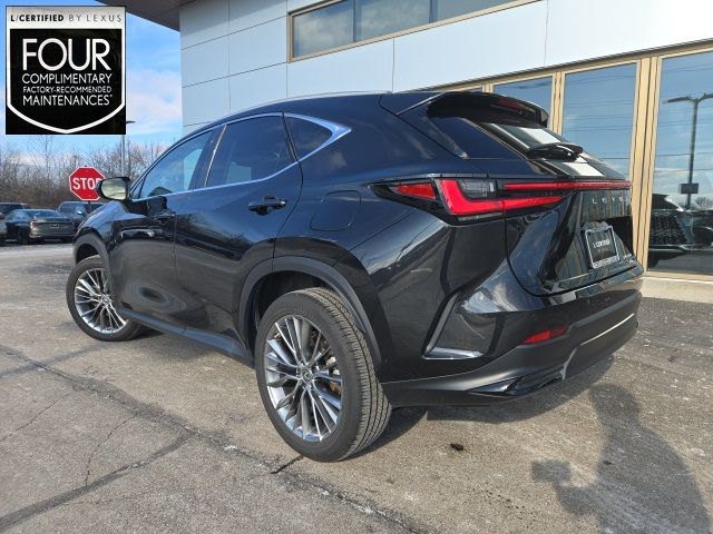 2022 Lexus NX 350 Premium